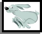 Rabbit3.jpg (4077 bytes)